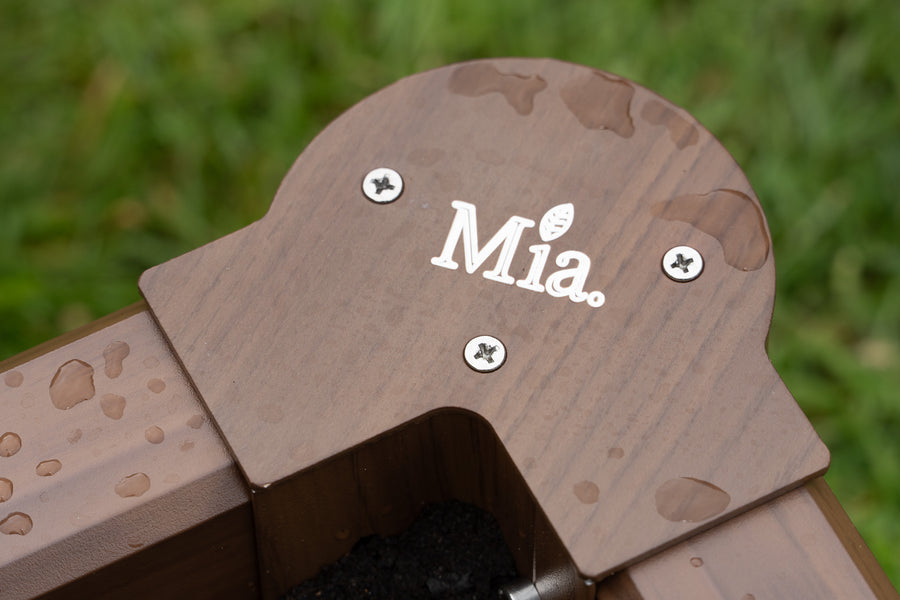 Custom Engraving