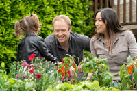 Mia Square Single Tier Raised Garden Bed