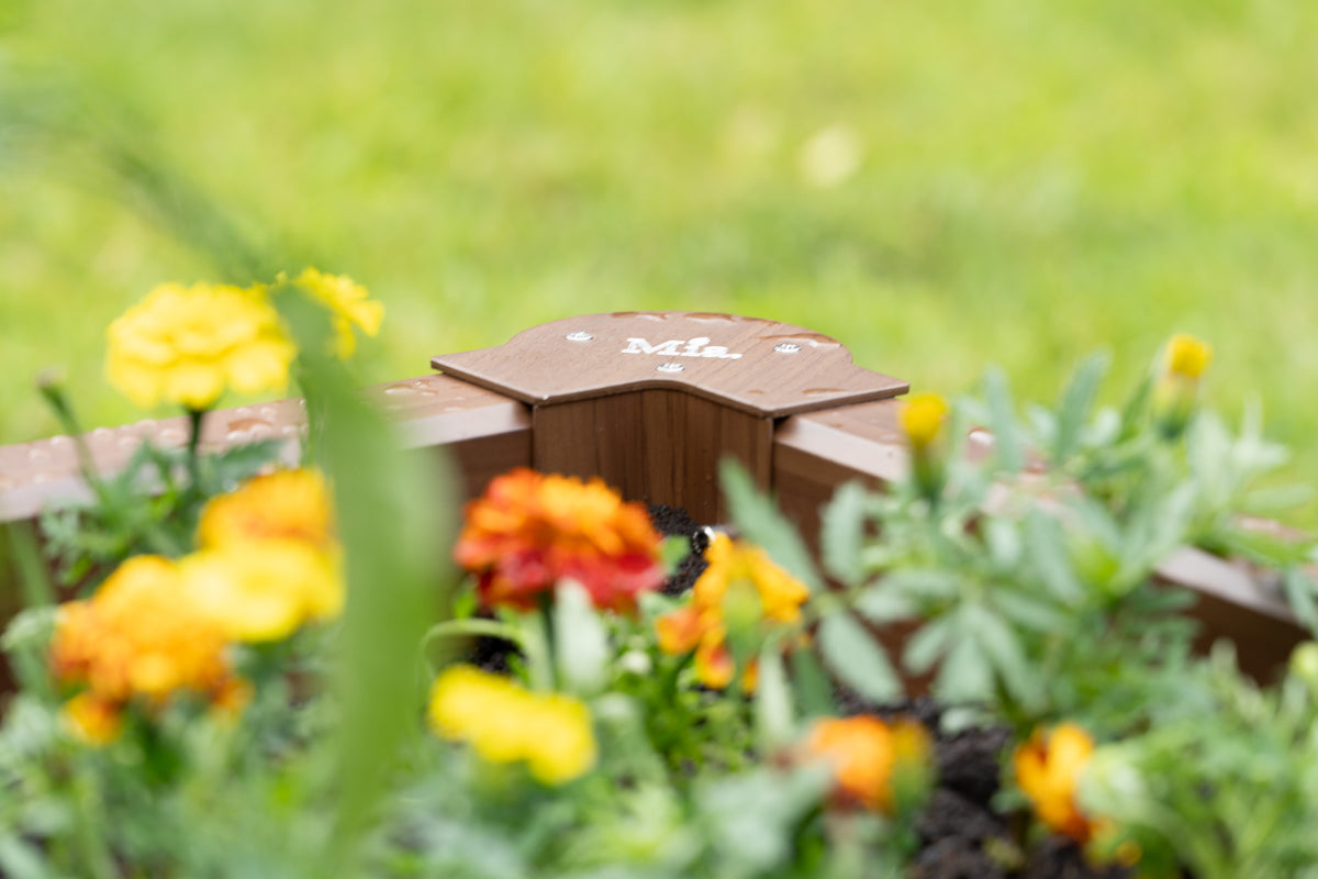 A planted Mia raised bed in a garden